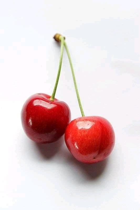 Berry Bounty: Sun-Kissed Garden Treasures