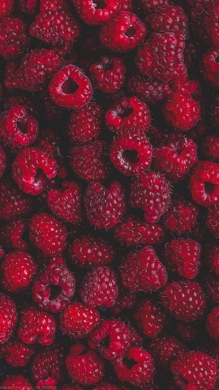 Garden Symphony: Vibrant Veggie Quartet